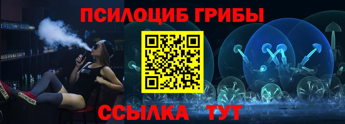 Туймазы  Псилоцибиновые грибы Cubensis  Вход с VPN 